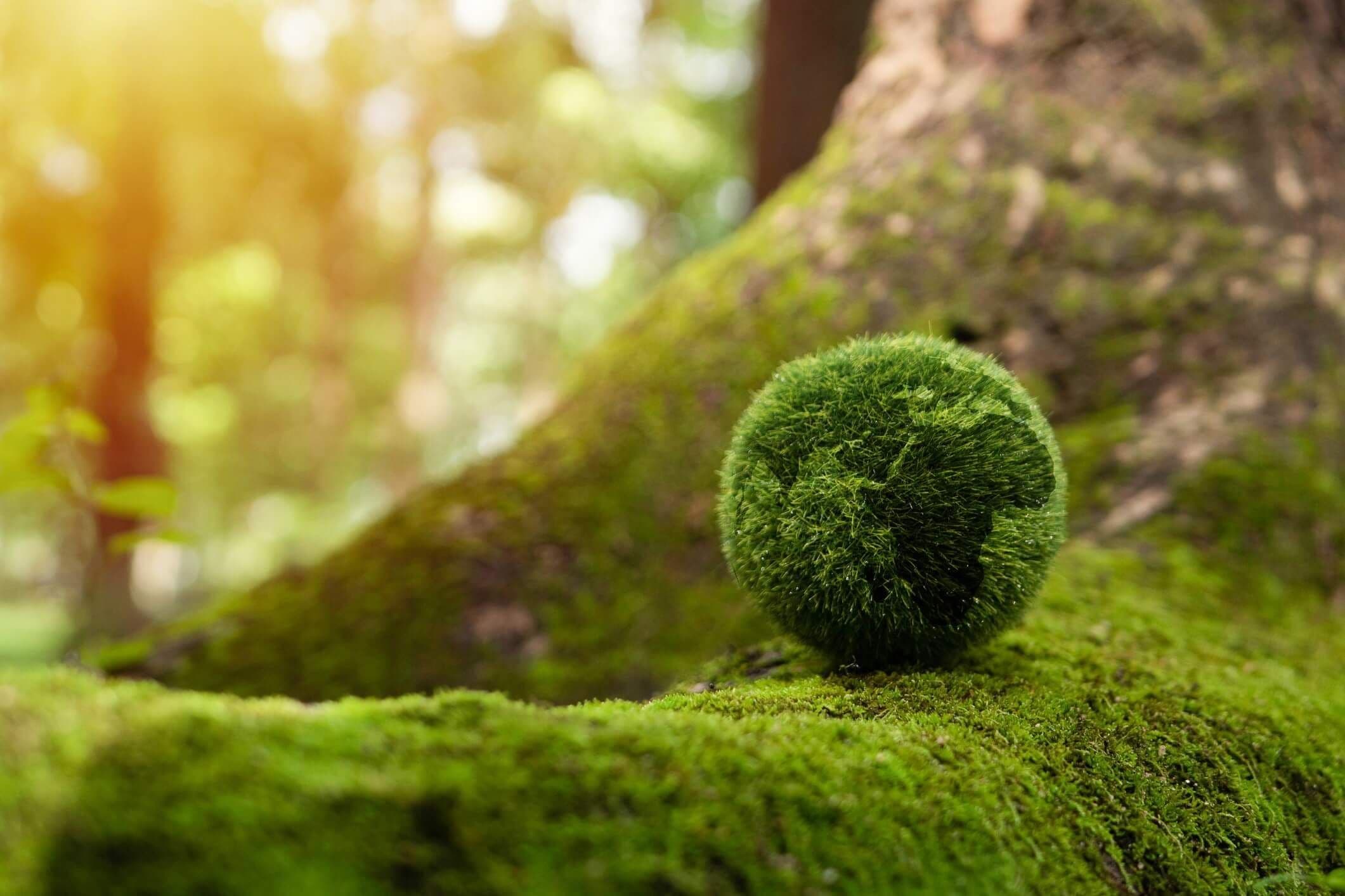 sustainability